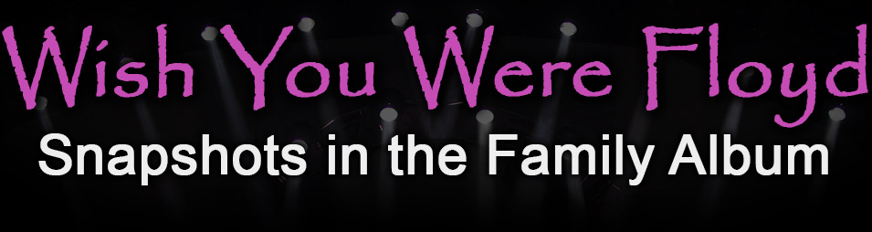 Wish You Were Floyd - Photos