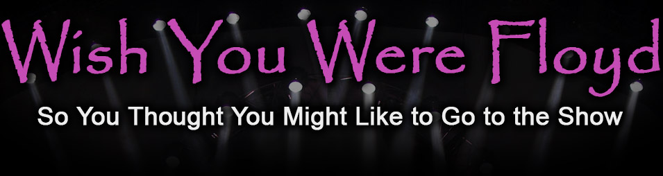 Wish You Were Floyd - Electronic Press Kit